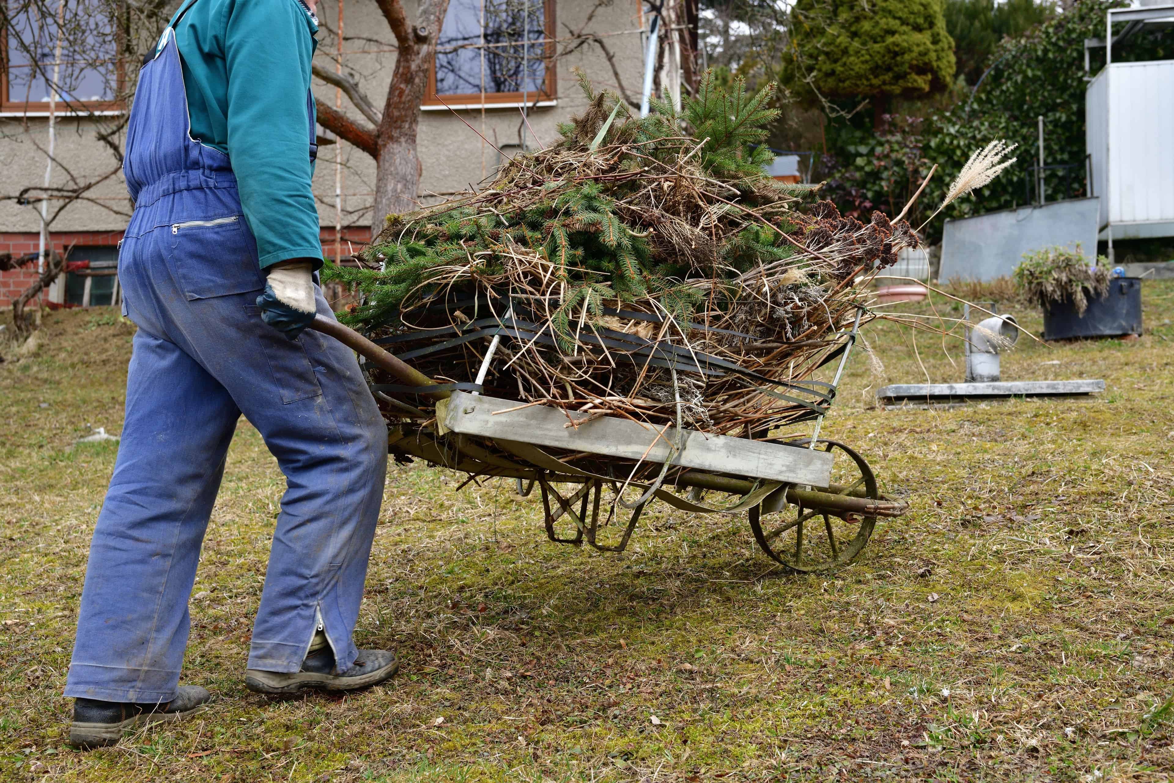 Yard Waste Removal image