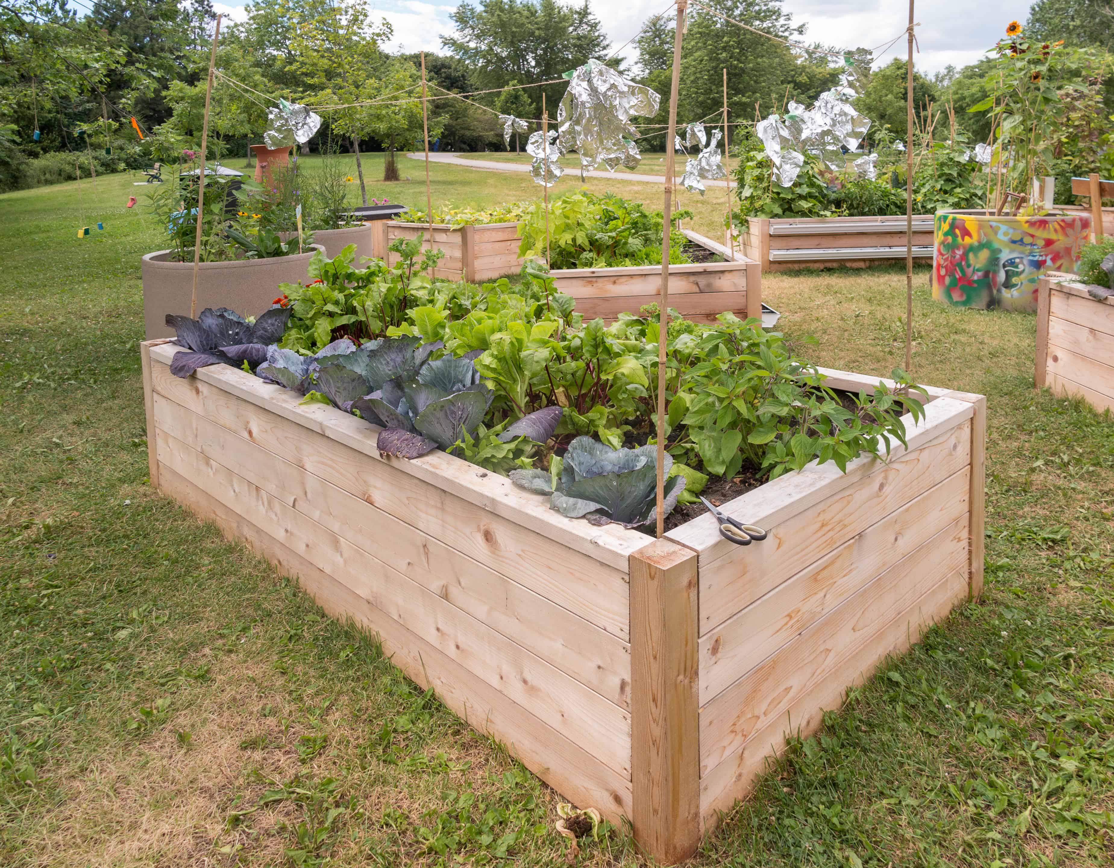 Garden Beds image