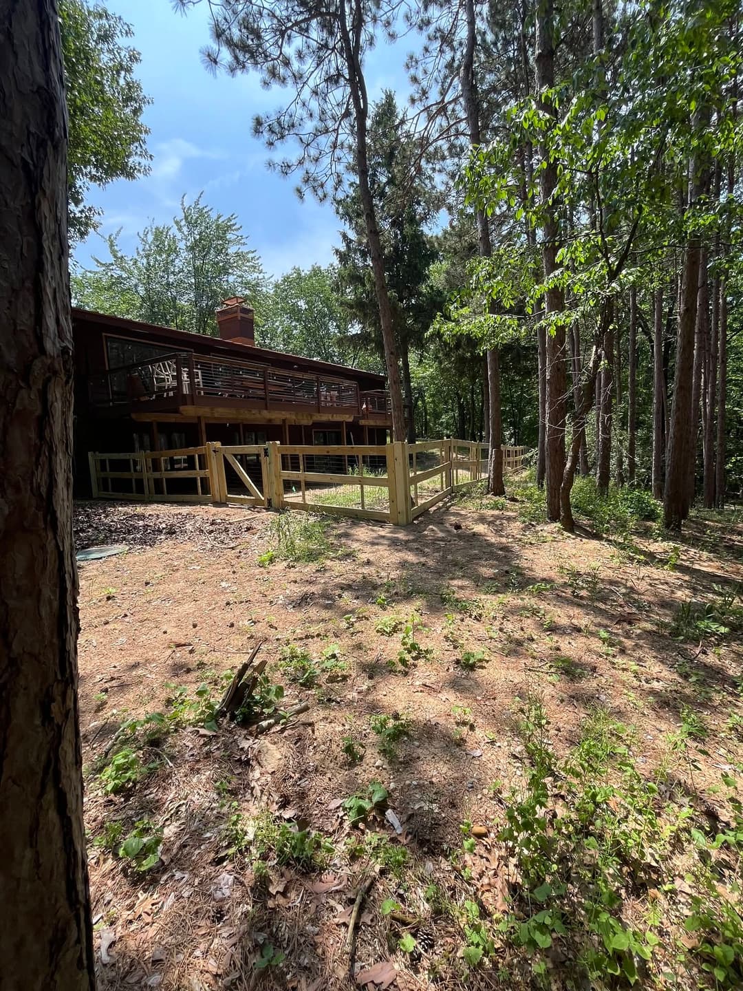 Wooden cabin in a forested area, surrounded by tall trees and greenery.