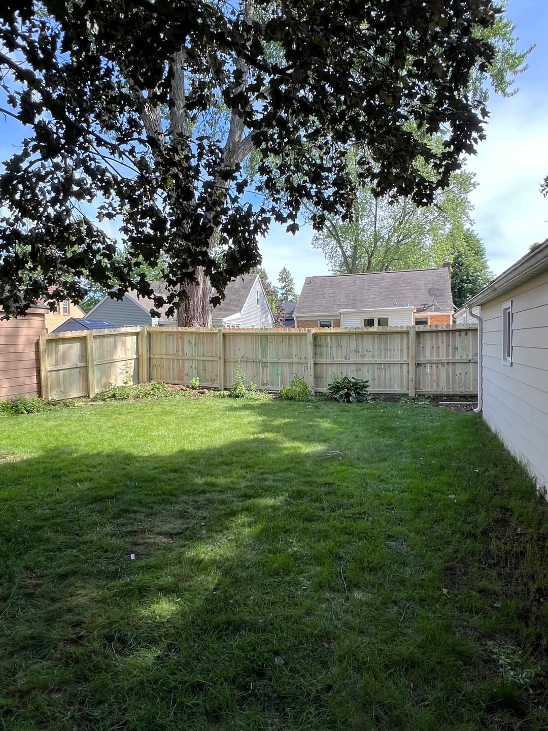 Lush green backyard with wooden fence and shade from a large tree on a sunny day.