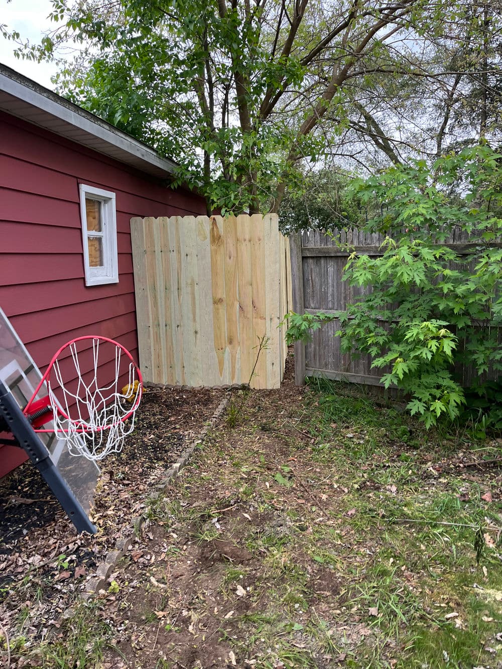 New wooden fence and backyard greenery near a red house with basketball hoop.