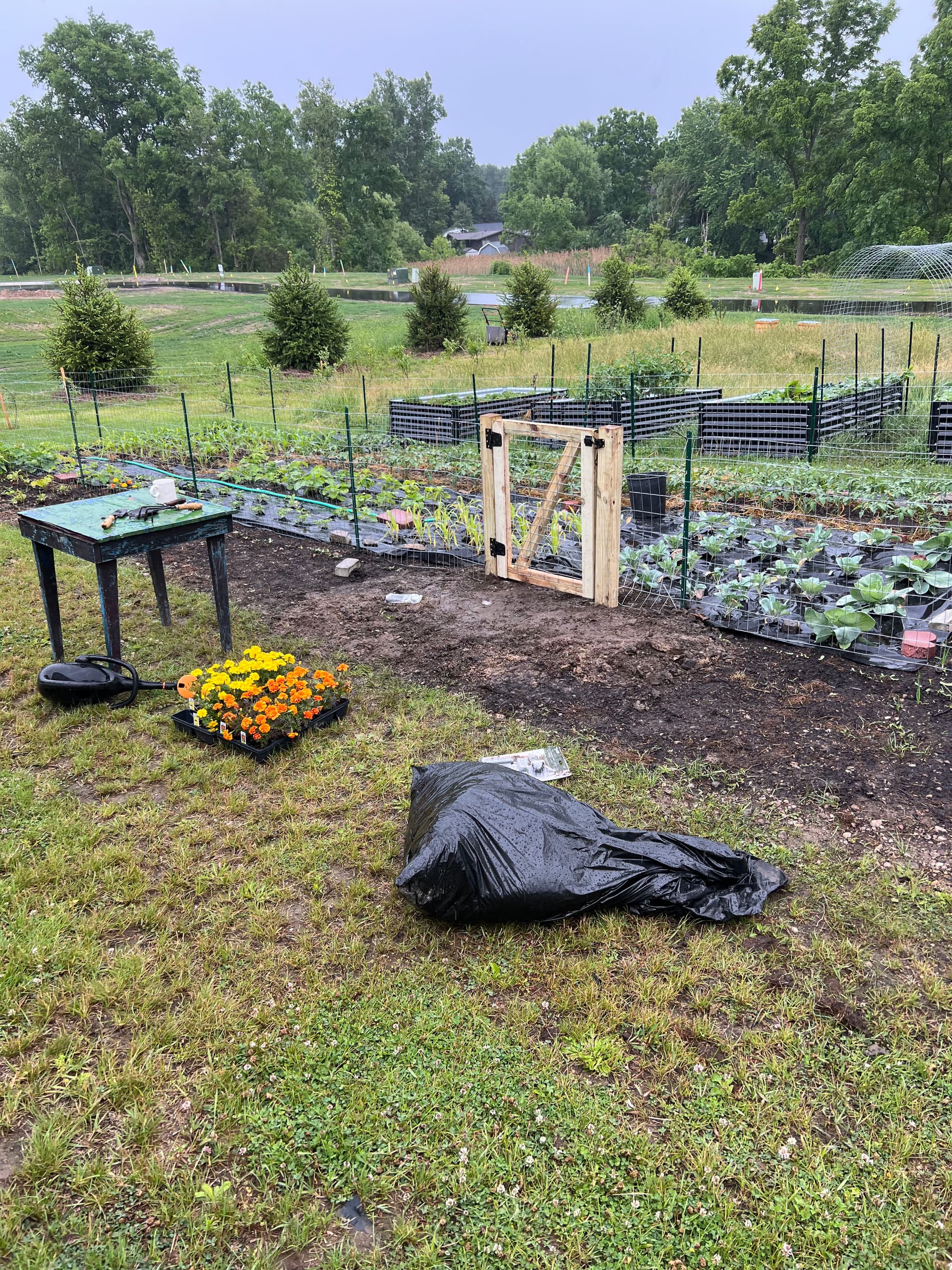 Gallery photos for Farm Gate and Fence Build Done Right: Image #1
